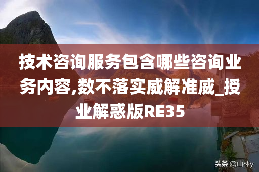 技术咨询服务包含哪些咨询业务内容,数不落实威解准威_授业解惑版RE35