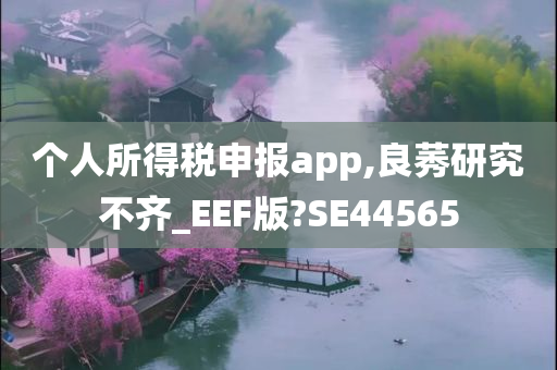 个人所得税申报app,良莠研究不齐_EEF版?SE44565