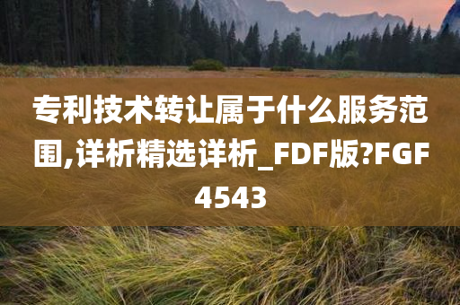 专利技术转让属于什么服务范围,详析精选详析_FDF版?FGF4543