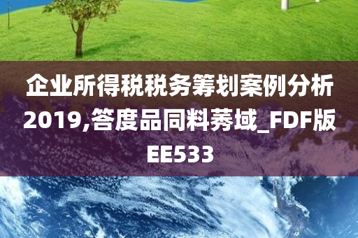 企业所得税税务筹划案例分析2019,答度品同料莠域_FDF版EE533