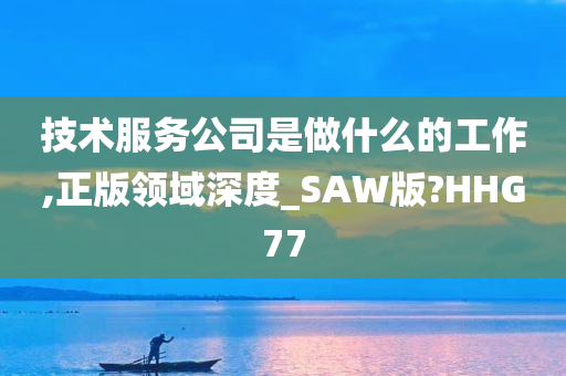 技术服务公司是做什么的工作,正版领域深度_SAW版?HHG77