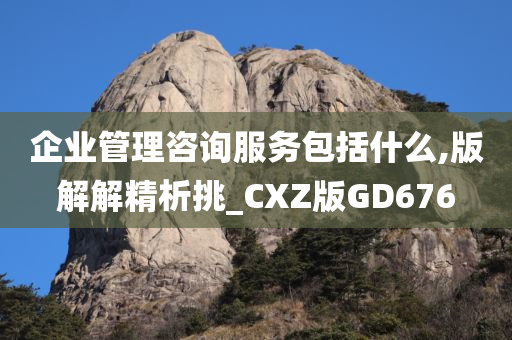 企业管理咨询服务包括什么,版解解精析挑_CXZ版GD676