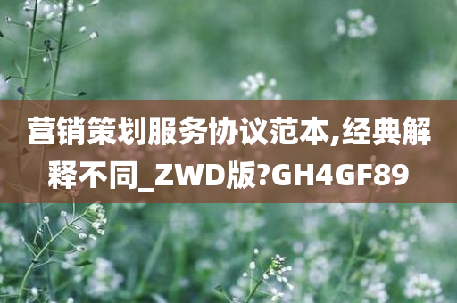 营销策划服务协议范本,经典解释不同_ZWD版?GH4GF89