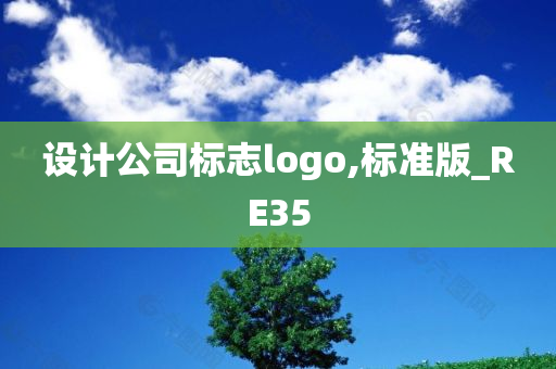 设计公司标志logo,标准版_RE35