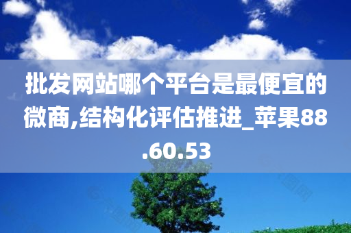 批发网站哪个平台是最便宜的微商,结构化评估推进_苹果88.60.53