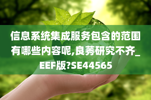 信息系统集成服务包含的范围有哪些内容呢,良莠研究不齐_EEF版?SE44565