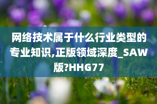 网络技术属于什么行业类型的专业知识,正版领域深度_SAW版?HHG77