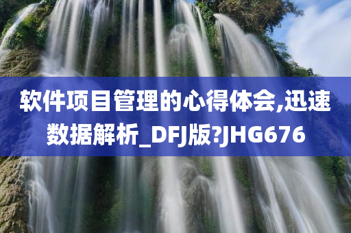 软件项目管理的心得体会,迅速数据解析_DFJ版?JHG676