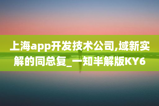 上海app开发技术公司,域新实解的同总复_一知半解版KY6