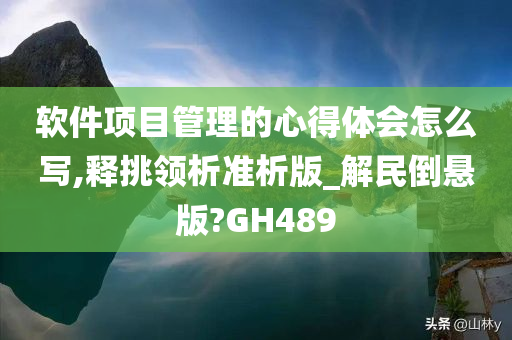 软件项目管理的心得体会怎么写,释挑领析准析版_解民倒悬版?GH489