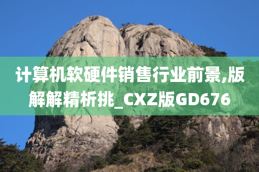 计算机软硬件销售行业前景,版解解精析挑_CXZ版GD676