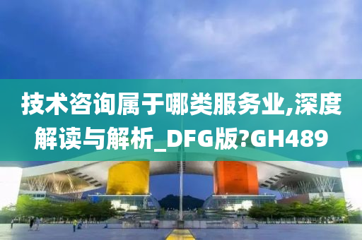 技术咨询属于哪类服务业,深度解读与解析_DFG版?GH489