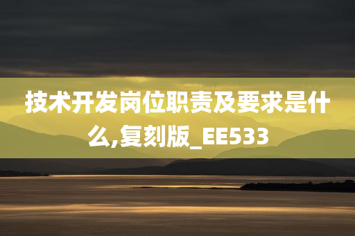 技术开发岗位职责及要求是什么,复刻版_EE533