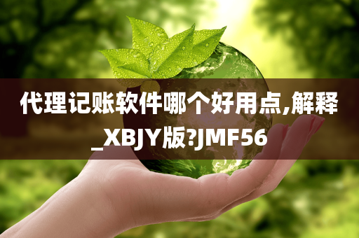 代理记账软件哪个好用点,解释_XBJY版?JMF56