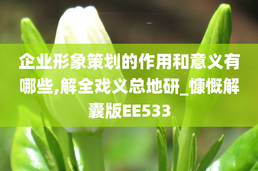 企业形象策划的作用和意义有哪些,解全戏义总地研_慷慨解囊版EE533