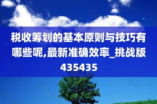 税收筹划的基本原则与技巧有哪些呢,最新准确效率_挑战版435435