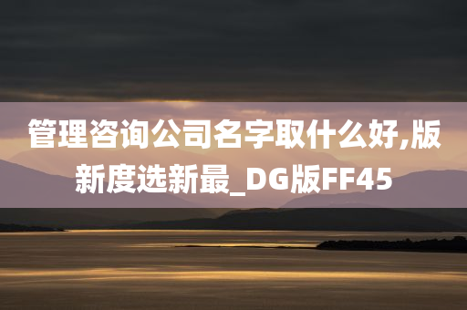 管理咨询公司名字取什么好,版新度选新最_DG版FF45