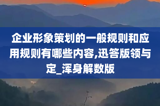 企业形象策划的一般规则和应用规则有哪些内容,迅答版领与定_浑身解数版