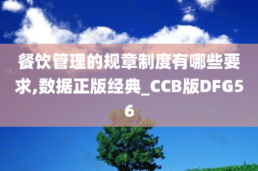 餐饮管理的规章制度有哪些要求,数据正版经典_CCB版DFG56