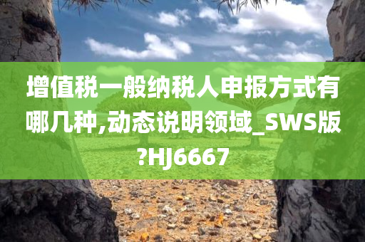 增值税一般纳税人申报方式有哪几种,动态说明领域_SWS版?HJ6667