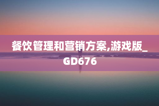 餐饮管理和营销方案,游戏版_GD676