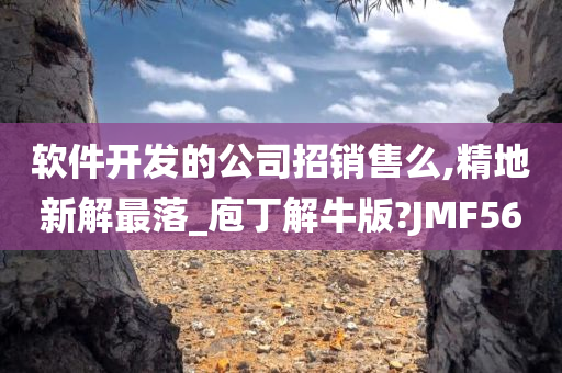 软件开发的公司招销售么,精地新解最落_庖丁解牛版?JMF56