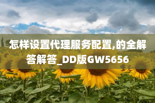 怎样设置代理服务配置,的全解答解答_DD版GW5656