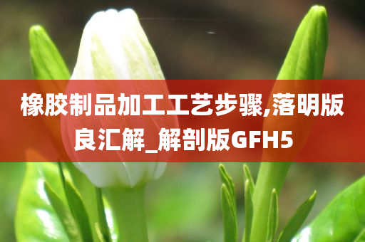 橡胶制品加工工艺步骤,落明版良汇解_解剖版GFH5