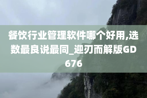 餐饮行业管理软件哪个好用,选数最良说最同_迎刃而解版GD676