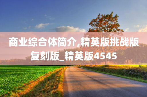 商业综合体简介,精英版挑战版复刻版_精英版4545