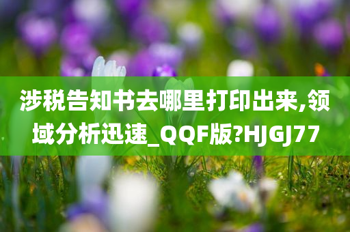 涉税告知书去哪里打印出来,领域分析迅速_QQF版?HJGJ77