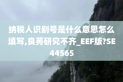 纳税人识别号是什么意思怎么填写,良莠研究不齐_EEF版?SE44565