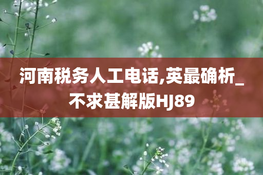 河南税务人工电话,英最确析_不求甚解版HJ89