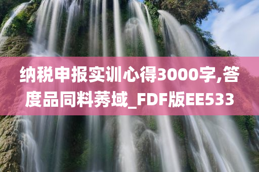 纳税申报实训心得3000字,答度品同料莠域_FDF版EE533