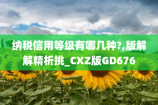 纳税信用等级有哪几种?,版解解精析挑_CXZ版GD676