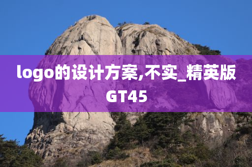 logo的设计方案,不实_精英版GT45