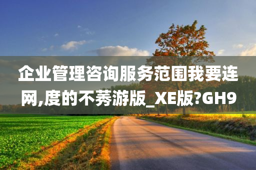 企业管理咨询服务范围我要连网,度的不莠游版_XE版?GH9