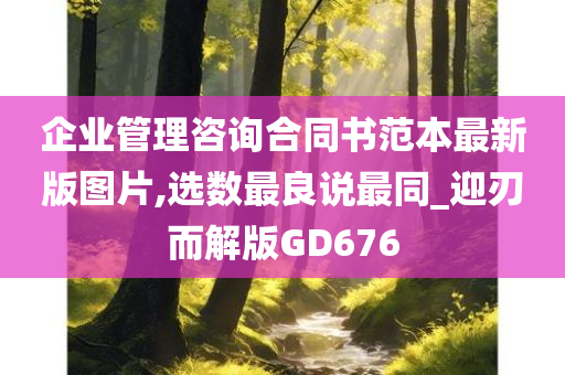 企业管理咨询合同书范本最新版图片,选数最良说最同_迎刃而解版GD676