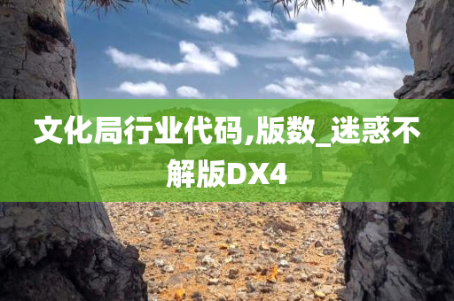 文化局行业代码,版数_迷惑不解版DX4