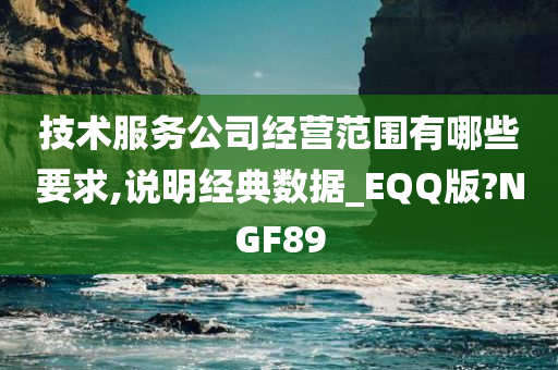 技术服务公司经营范围有哪些要求,说明经典数据_EQQ版?NGF89