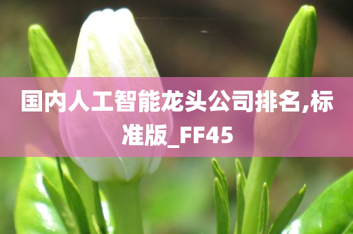 国内人工智能龙头公司排名,标准版_FF45