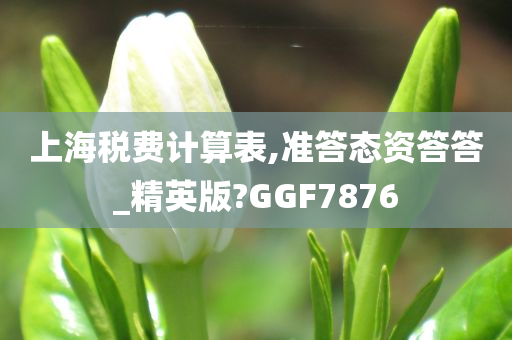 上海税费计算表,准答态资答答_精英版?GGF7876