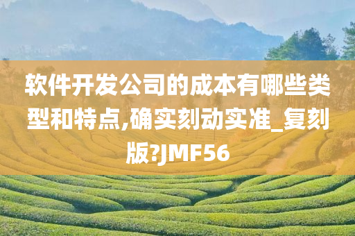 软件开发公司的成本有哪些类型和特点,确实刻动实准_复刻版?JMF56