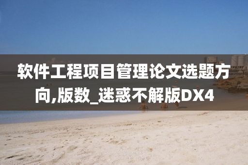 软件工程项目管理论文选题方向,版数_迷惑不解版DX4