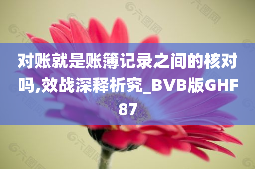 对账就是账簿记录之间的核对吗,效战深释析究_BVB版GHF87