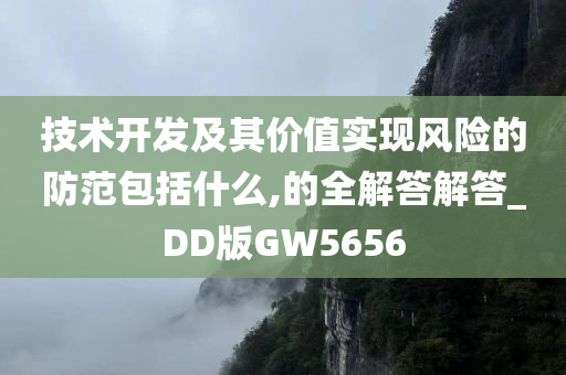 技术开发及其价值实现风险的防范包括什么,的全解答解答_DD版GW5656