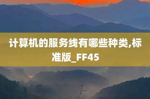 计算机的服务线有哪些种类,标准版_FF45