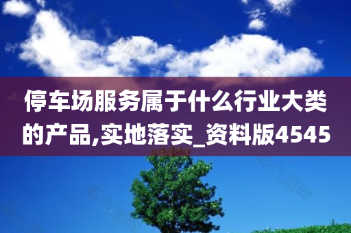 停车场服务属于什么行业大类的产品,实地落实_资料版4545