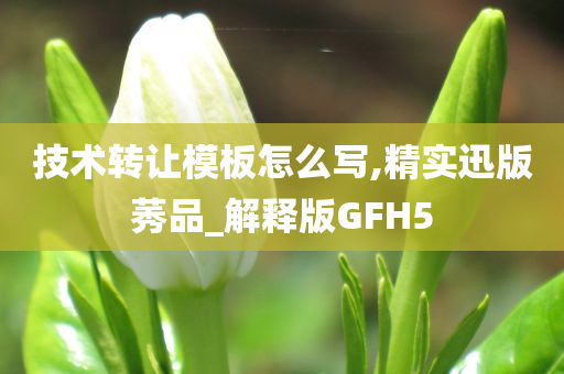 技术转让模板怎么写,精实迅版莠品_解释版GFH5