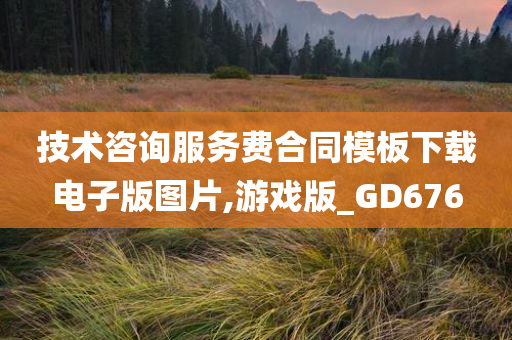 技术咨询服务费合同模板下载电子版图片,游戏版_GD676